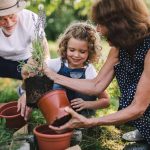Senior grandparents and granddaughter gardening in the backyard garden. Man, woman and a small girl working.